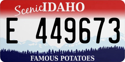 ID license plate E449673