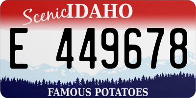ID license plate E449678