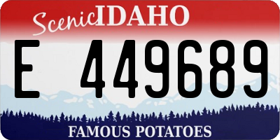ID license plate E449689