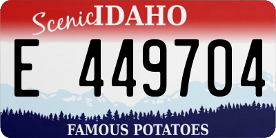 ID license plate E449704