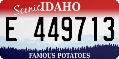 ID license plate E449713