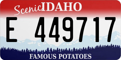 ID license plate E449717