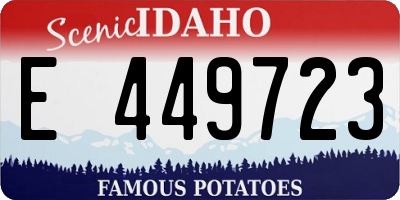 ID license plate E449723