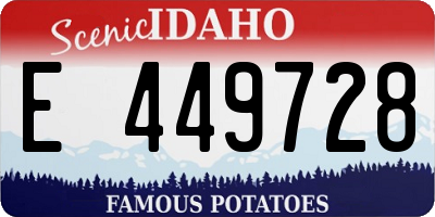 ID license plate E449728