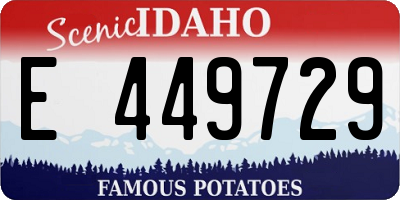 ID license plate E449729