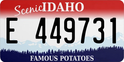 ID license plate E449731