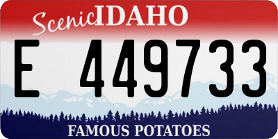 ID license plate E449733