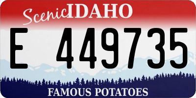 ID license plate E449735