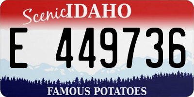 ID license plate E449736