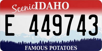 ID license plate E449743