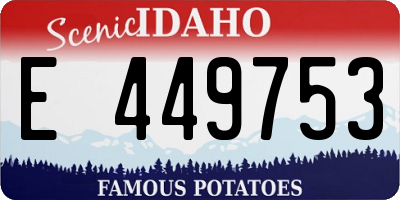 ID license plate E449753