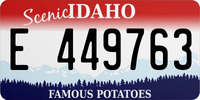 ID license plate E449763
