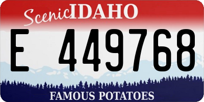 ID license plate E449768