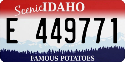ID license plate E449771