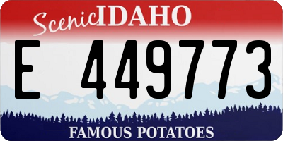 ID license plate E449773