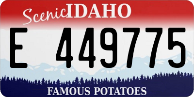 ID license plate E449775