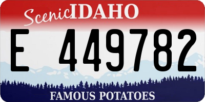 ID license plate E449782