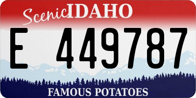 ID license plate E449787