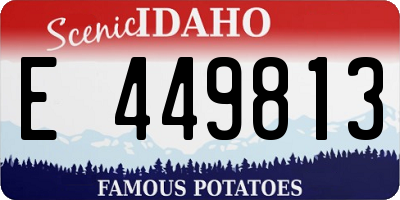 ID license plate E449813