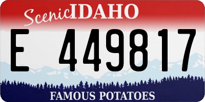 ID license plate E449817