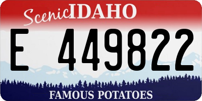 ID license plate E449822