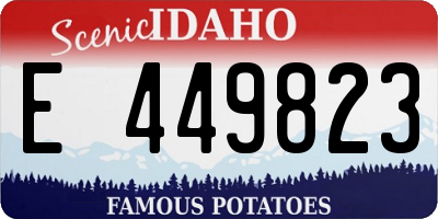 ID license plate E449823