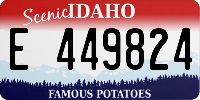 ID license plate E449824