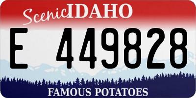 ID license plate E449828