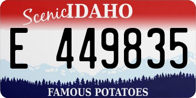 ID license plate E449835