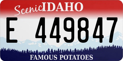 ID license plate E449847