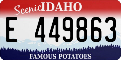 ID license plate E449863