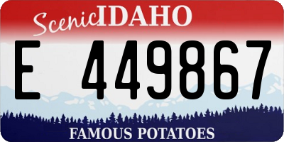 ID license plate E449867