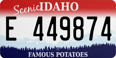 ID license plate E449874