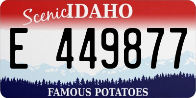 ID license plate E449877