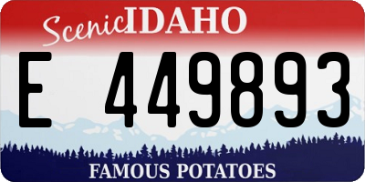 ID license plate E449893