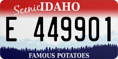 ID license plate E449901
