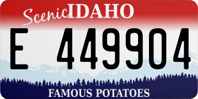 ID license plate E449904