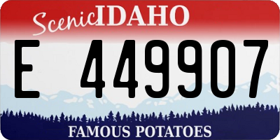ID license plate E449907