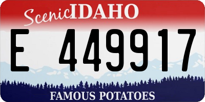 ID license plate E449917