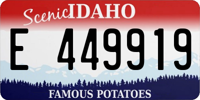 ID license plate E449919