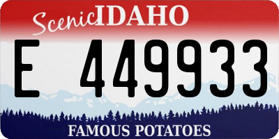 ID license plate E449933