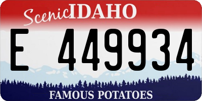 ID license plate E449934