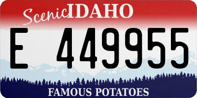 ID license plate E449955