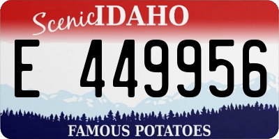 ID license plate E449956