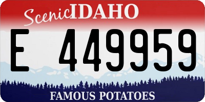 ID license plate E449959
