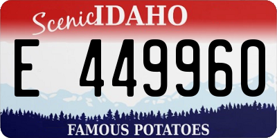 ID license plate E449960