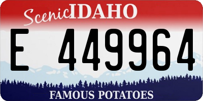 ID license plate E449964