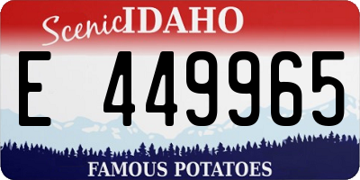 ID license plate E449965