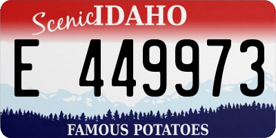 ID license plate E449973