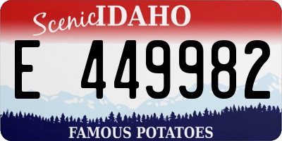 ID license plate E449982